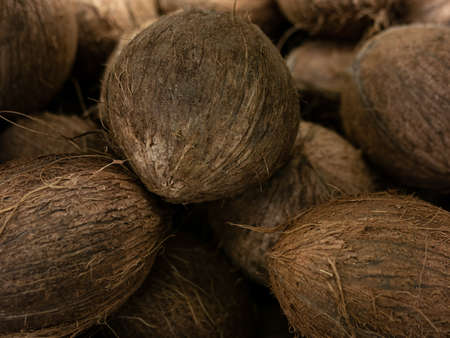 coconut harvest. many coconuts. coconut for food textures. . Landscape. A backdrop of coconut. Street vegetable market. Group of coconuts.の写真素材