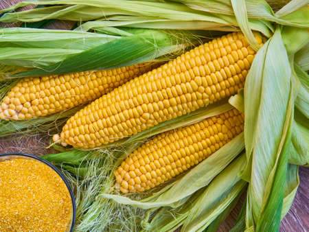 Fresh sweet corn with a bowl of corn grits on wooden table. Selective focus. Eco Food Concept. GMO-free concept.の写真素材