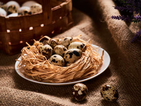 Happy Easter Concept. Quail eggs. Congratulations Easter background. Easter eggsの写真素材