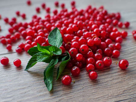 Fresh ripe red currant on wooden background, close up view. Eco food concept. Natural vitamins. GMO FREE.の写真素材