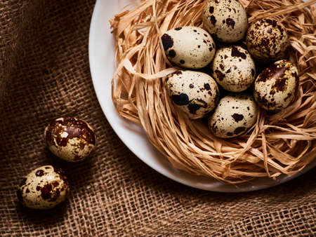 Happy Easter Concept. Quail eggs. Congratulations Easter background. Easter eggsの写真素材