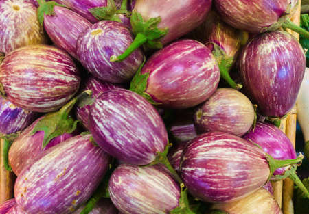 Eggplant harvest from market close-up focus. Purple eggplants. Raw eggplant on vegatable market.の写真素材