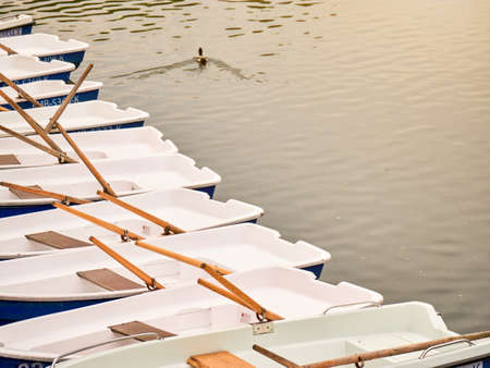 Boats in the row at the river. Boats for rent. Travel river boats.の写真素材