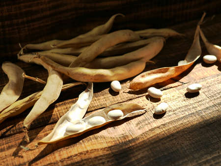 white kidney beans on wooden background. Dried organic harvest of white beans.の写真素材