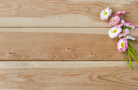 A bouquet of daisies on a light wooden background. Background for congratulations. Minimalism.の写真素材