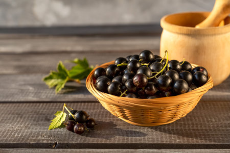 Ripe black currant in a wicker bowl and a mortar for making jam on a wooden table in the sunset with twigs and leavesの写真素材