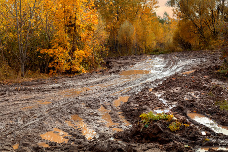 A dirty road impassable from the rain on the background of an autumn landscapeの写真素材