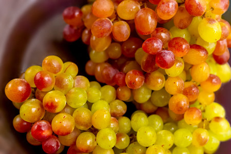 Delicious moist brush of red-green grapes on a plate. close-up.