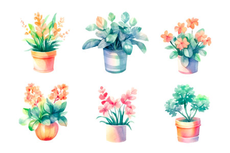 A set of indoor flowers in watercolorの素材