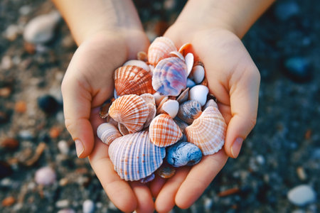 Close-up of a hand holding seashells collected during a beach strollの素材