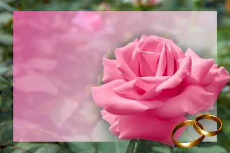 Mockup for wedding cards and invitations with large pink rose and rings.の写真素材
