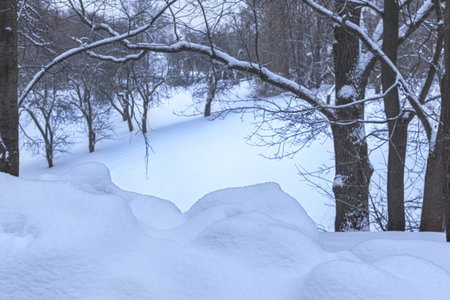 An arch of snow-covered tree branches over snowdrifts. Winter landscape
