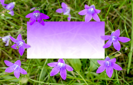 Postcard with purple bells and text frame.