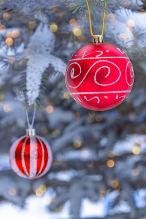 Bright red shiny Christmas tree balls on live fir tree on snowy and frosty winter day. Close-upの写真素材