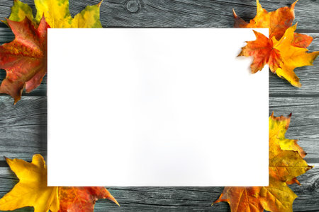 Blank white mockup surrounded by brightly colored autumn leaves on wooden background. Colorful...