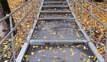 Autumn leaves on steps of city staircase on cloudy, rainy day.