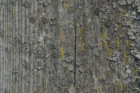 Old wood table texture background. Abstract surface. Close up dark rustic wood made of old wood table texture. Rustic wood table texture. Old wood texture. Wood table surface top view. Natural wood texture. Surface of wood texture.の写真素材