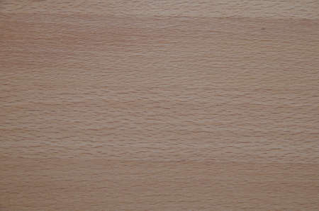 Wooden background, natural beech texture, texture-wood lining, space for textの写真素材