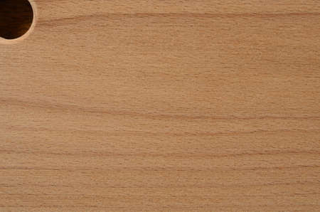 Against the backdrop of a new raw beech cutting board. New raw cutting board made of beechの写真素材