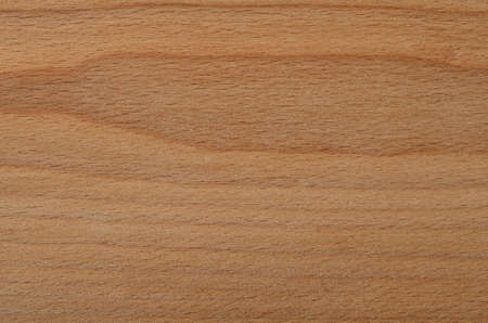 Background of untreated beech Board. Space for text, on a rough wooden background.の写真素材