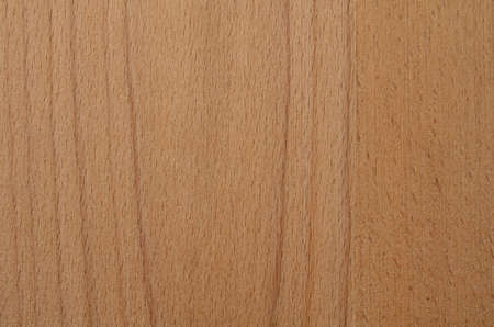 Space for text, on a rough wooden background. Background of untreated beech Board.の写真素材