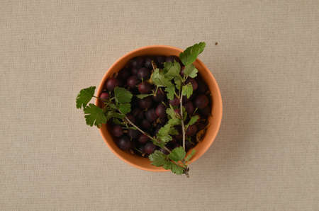 Fresh gooseberry berries in a terracotta bowl on a linen napkin.の写真素材