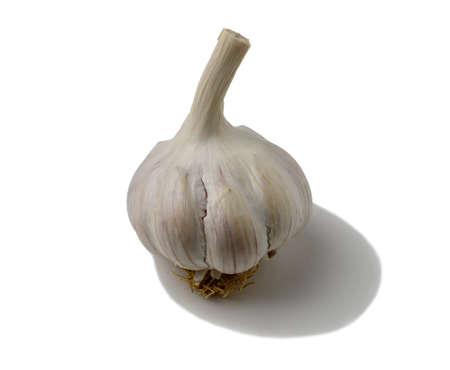 Garlic head isolated on a white background.の写真素材