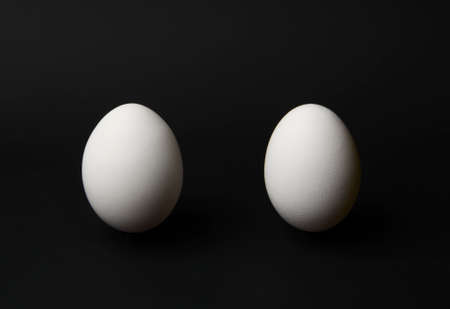 chicken eggs on a black background with space for textの写真素材