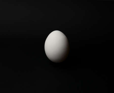 chicken egg on a black background with a space for textの写真素材