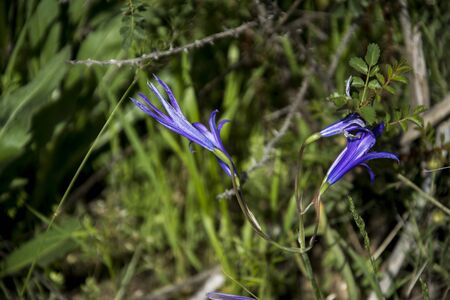 Aksu River Valley Canyonの写真素材