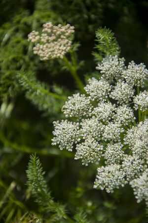 Aksu River Valley Canyonの写真素材