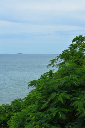 Coast Andaman Sea around Pattayaの写真素材