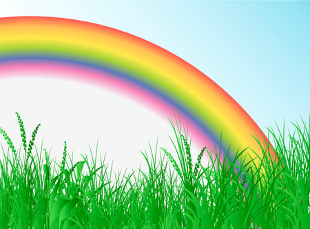 Field with rainbowのイラスト素材