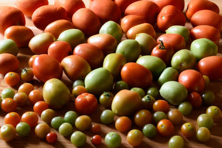Harvest tomatoes on the tableの写真素材