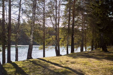 Nature. Forest, lake. The sun shines. No peopleの写真素材
