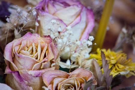 Dry bouquet of pink roses photographed close-up. Background, postcardの写真素材
