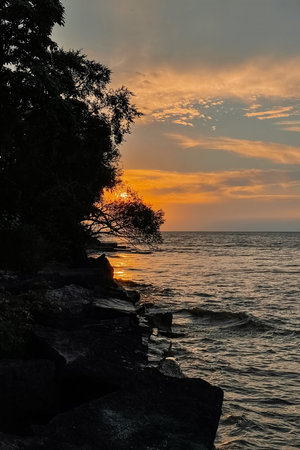 Beautiful sunset over the lake with a silhouette of a tree. Niagara on the Lake, Canada.の写真素材