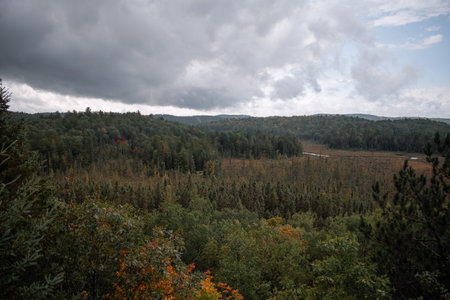 Autumn landscape in the forest. View of the forest from above. Algonquin Park, Canada.の写真素材