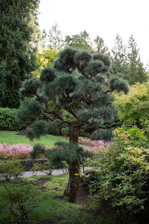 The Butchart Gardens in Victoria, BC.の写真素材
