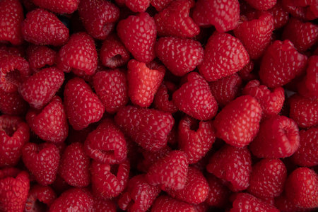 Background of fresh raspberries. Close-up, top view.