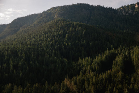 Aerial view of the mountains in the evening. British Columbia, Canada.