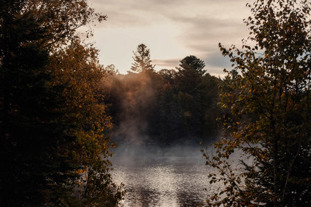 Autumn landscape with fog over the river and trees in the foreground. Algonquin Park, Canada.の写真素材