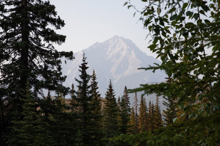 Canadian Rockies, Banff National Park, Alberta, Canada.の写真素材