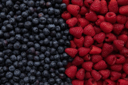 Blueberries and raspberries as a background. Top view.の写真素材