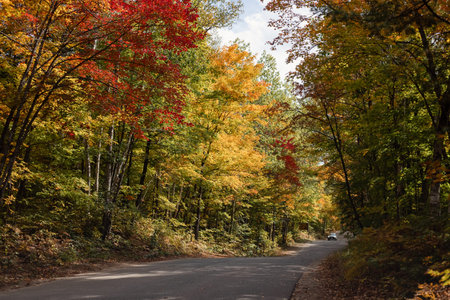 A picturesque autumn landscape featuring a road winding through the forest, adorned with vibrant foliage.の写真素材