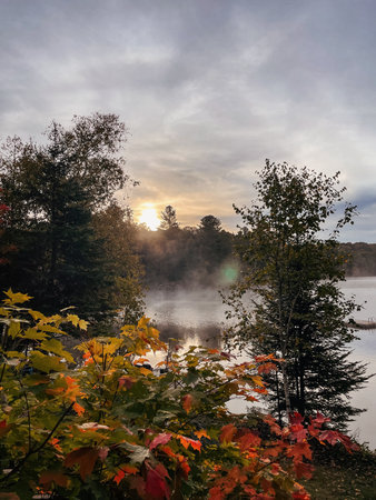 Sunrise over a lake framed by trees and shrouded in fog. Algonquin Park, Canada.の写真素材