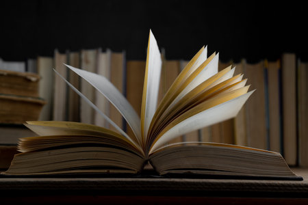 Book background. Old books in the library. Bookshelf shop. Knowledge, publications, literature. Bookish, bookstore, bookshopの写真素材