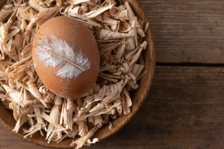 Egg background. Brown eggs in a tray. Protein food. Eco organic. Minimalism concept.の写真素材