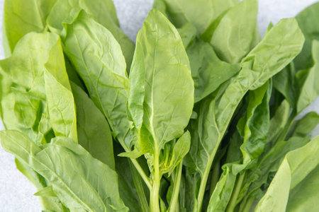 Spinach green leaves on salad.の写真素材