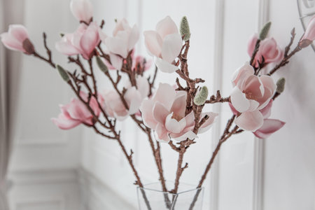 White pink magnolia flowers in a vase. Bouquet of branches with magnolia buds in room interior. Flower background. Nature aesthetic floral concept. Bloom bud closeupの写真素材